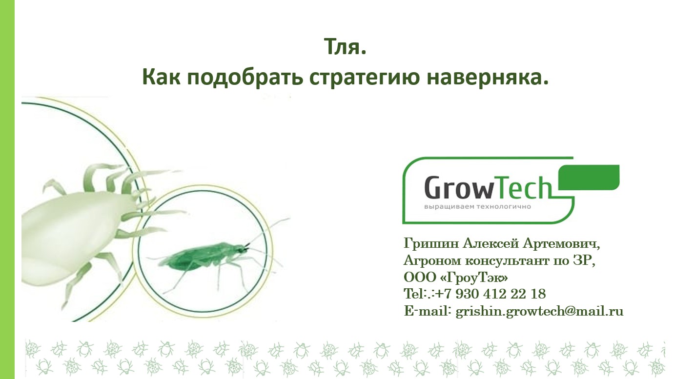Тля. Как подобрать стратегию наверняка