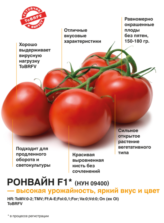 Ронвайн F1 (НУН09400)