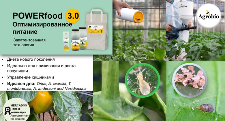 Рисунок7.jpg