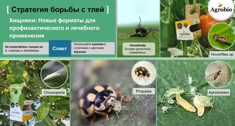 Рисунок9.jpg