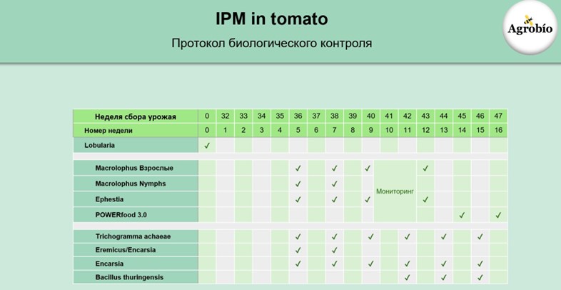 Рисунок14.jpg